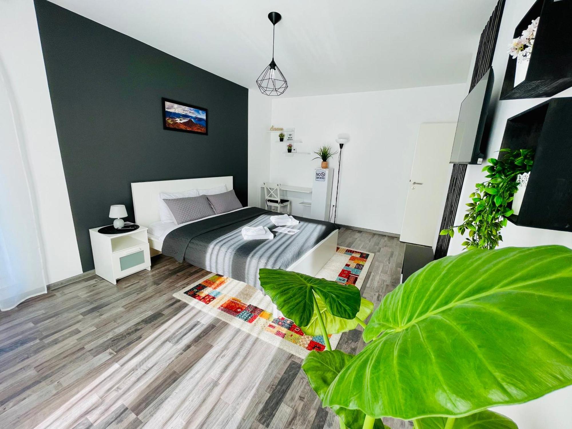 Appartamento Montsee Braşov Esterno foto