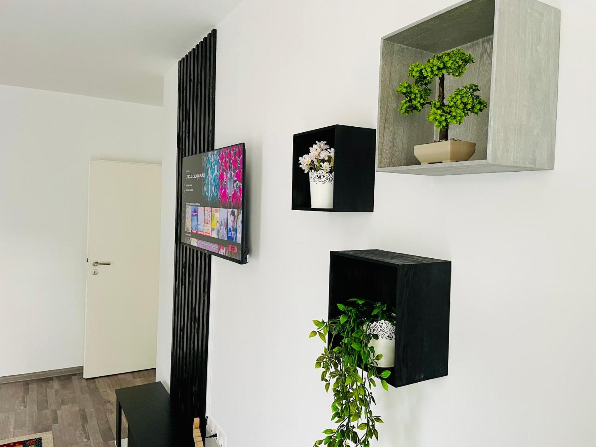 Appartamento Montsee Braşov Esterno foto